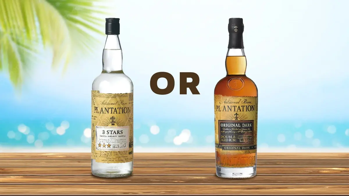 White Rum vs Dark Rum: A Complete Guide to Taste, Color, and Cocktails