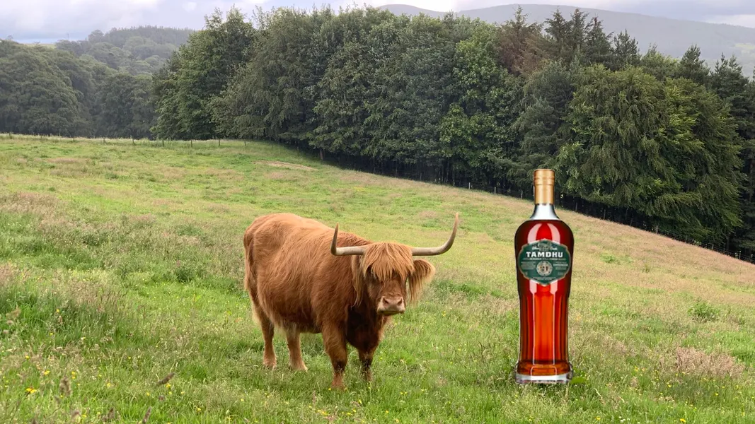 Tamdhu 21 Named World’s Best Scotch Whisky at 2026 Spirit of Speyside Festival